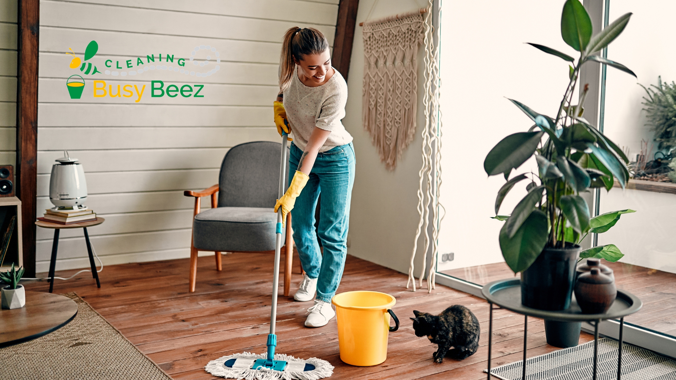 Cleaning Services Greenville SC